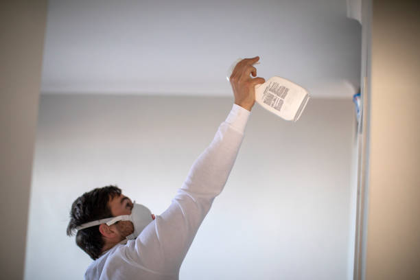 Best Professional Mold Removal  in Swanton, OH