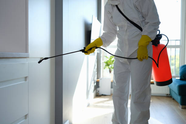 Best Certified Mold Removal  in Swanton, OH